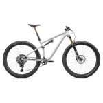 Specialized EPIC EVO PRO - 29" Carbon Mountainbike - 2023 - gloss birch / bronze pearl / pearl