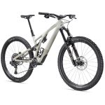 Specialized STUMPJUMPER EVO EXPERT - 29" Carbon Mountainbike - 2023 - gloss birch / taupe - Image 3