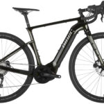 Niner RLT e9 RDO 4-Star 20MPH E-Bike