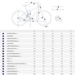 Giant TOUGHROAD SLR 1 - Deore Cross Bike - 2024 - knight shield - Image 2