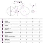 Liv DEVOTE 2 - Sora Women Gravel Bike - 2024 - terracotta - Image 2