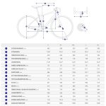 Giant CONTEND 1 - Shimano Sora Road Bike - 2023 - rosewood - Image 2