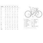 Simplon KIARO DISC - Ultegra Di2 - Carbon Road Bike - 2023 - pearlwhite matt - Image 2