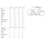 CUBE ACCESS WS SLX - Women Mountainbike - 2023 - grey / silver - Image 2