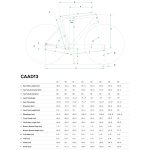 Cannondale CAAD13 Disc - Tiagra Roadbike - 2023 - Purple Haze - Image 2
