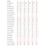 BMC KAIUS 01 TWO - Carbon Gravel Bike - 2024 - carbon black / brushed blue - Image 2