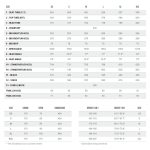 Orbea TERRA H40 - Gravel Bike - 2024 - Infinity Green - Ivory White (gloss) - Image 2