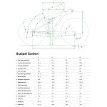 Cannondale SCALPEL CARBON 3 - 29" Mountainbike - 2022 - Mercury - Image 2