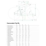 Cannondale TRAIL SL 4 - 29" Mountain Bike - 2023 - grey - Image 2