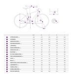 Liv ENVILIV ADVANCED 1 - Carbon Woman Road Bike - 2024 - airglow - Image 2