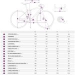 Liv THRIVE GX - Women Fitness Bike - 2024 - petra clay - Image 2