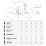 Giant FASTROAD AR ADVANCED 0 - Carbon Fitness Bike - 2024 - messier - Image 2