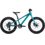 Liv STP 20" Kids Mountainbike - 2024 - teal