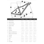 SCOTT CONTESSA ACTIVE 50 EQ - Women's Mountain Bike - 2023 - 290320 - Image 2