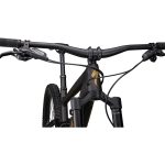 Specialized ENDURO COMP COIL - 29" Carbon Mountainbike - 2024 - satin brown tint / harvest gold - Image 5