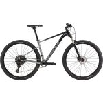 Cannondale TRAIL SL 4 - 29" Mountain Bike - 2023 - grey