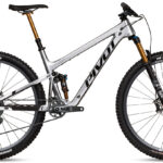 Pivot Trail 429 Pro X0 Eagle Transmission Bike
