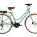 Reid Encore Vintage eBike Sage