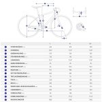 Giant TCR ADVANCED Disc 1+ - Carbon Road Bike - 2023 - cold night - Image 2