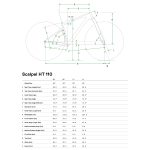 Cannondale SCALPEL HT Hi-MOD Ultimate - 29" Carbon Mountainbike - 2023 - tinted red - Image 2