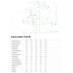 Cannondale TRAIL SL 3 - 29" Women Mountainbike - 2022 - Slate Gray - Image 2