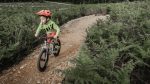 Early Rider Seeker 16 - 16" Kid´s Bike - 2024 - Image 5