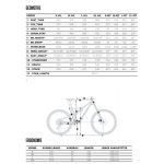 Orbea Rallon M10 GX Eagle Mountainbike - 2022 - Jade Green Carbon (Gloss)-Stone Silver (Matt) - Image 2